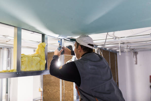 Best Geographic-Specific Insulation Services in Luling, LA