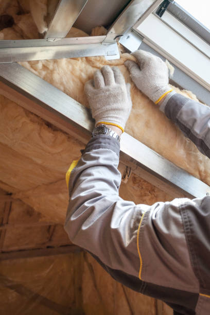 Best Eco-Friendly Insulation in Luling, LA