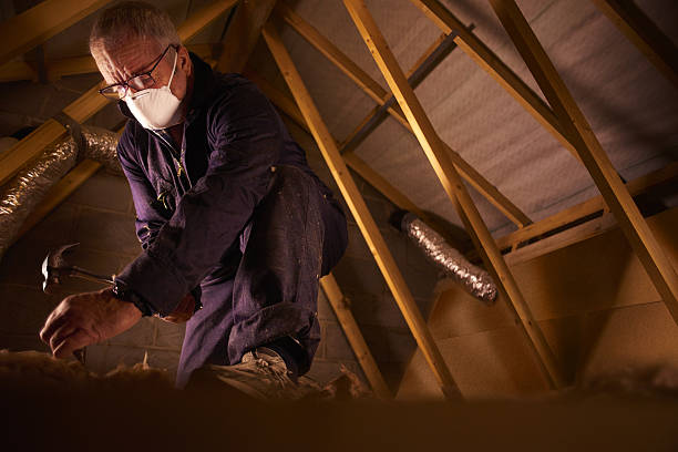 Best Insulation Maintenance and Repair in Luling, LA